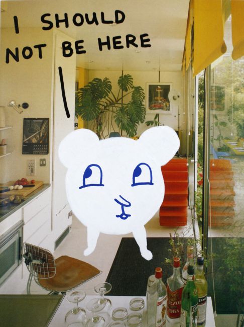 Ian Stevenson - I Should Not Be Here